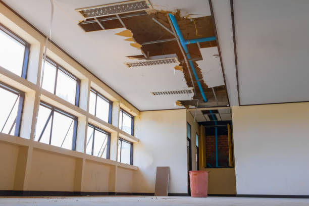 Best Water damage restoration near me  in Bothell, WA