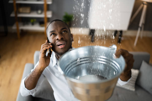 Best Sewage cleanup and water damage restoration  in Bothell, WA