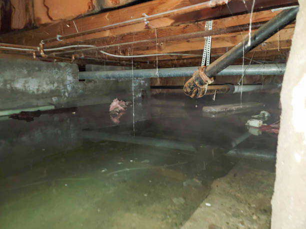 Local water damage restoration in Bothell, WA