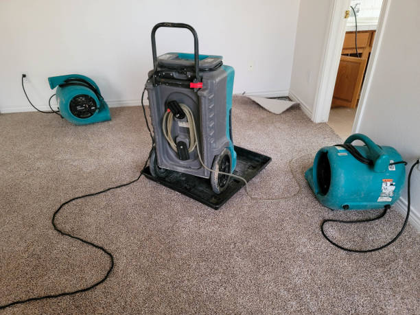 Best 24/7 water damage repair  in Bothell, WA