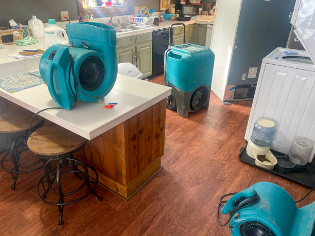 Best Residential water damage restoration  in Bothell, WA