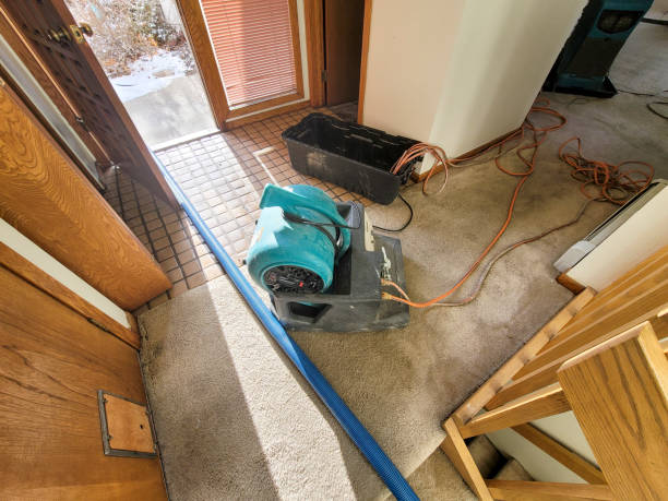 Best Ceiling water damage repair  in Bothell, WA