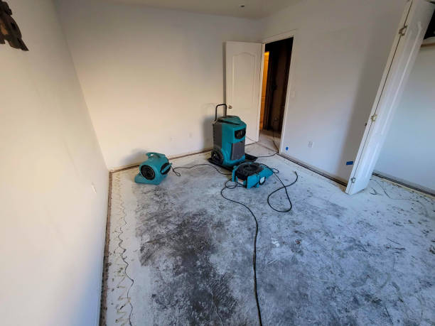 Best Mold removal after water damage  in Bothell, WA