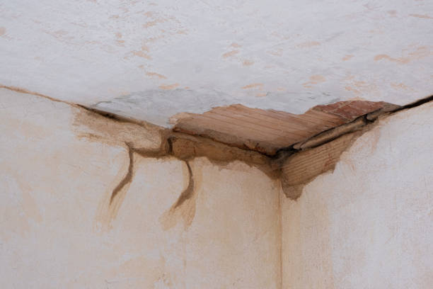 Best Water damage contractors near me  in Bothell, WA