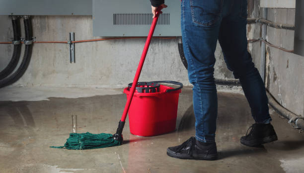 Best Water damage mitigation services  in Bothell, WA