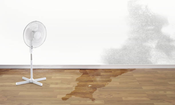 Best Basement water damage restoration  in Bothell, WA