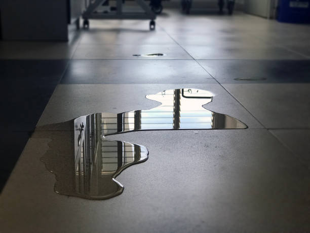 Best Water damage restoration insurance claims  in Bothell, WA