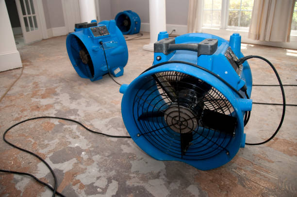 Trusted Bothell, WA Water damage restoration Experts