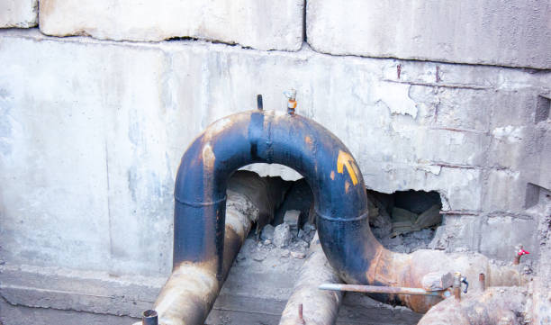 Best Flood damage cleanup  in Bothell, WA