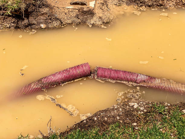 Best Residential water damage restoration  in Bothell, WA