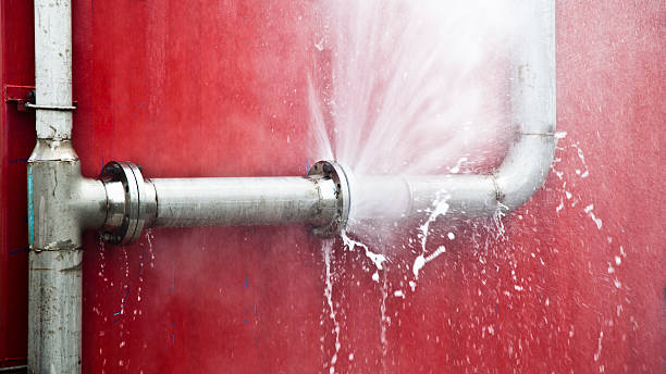 Best Water damage restoration near me  in Bothell, WA
